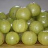 Amla